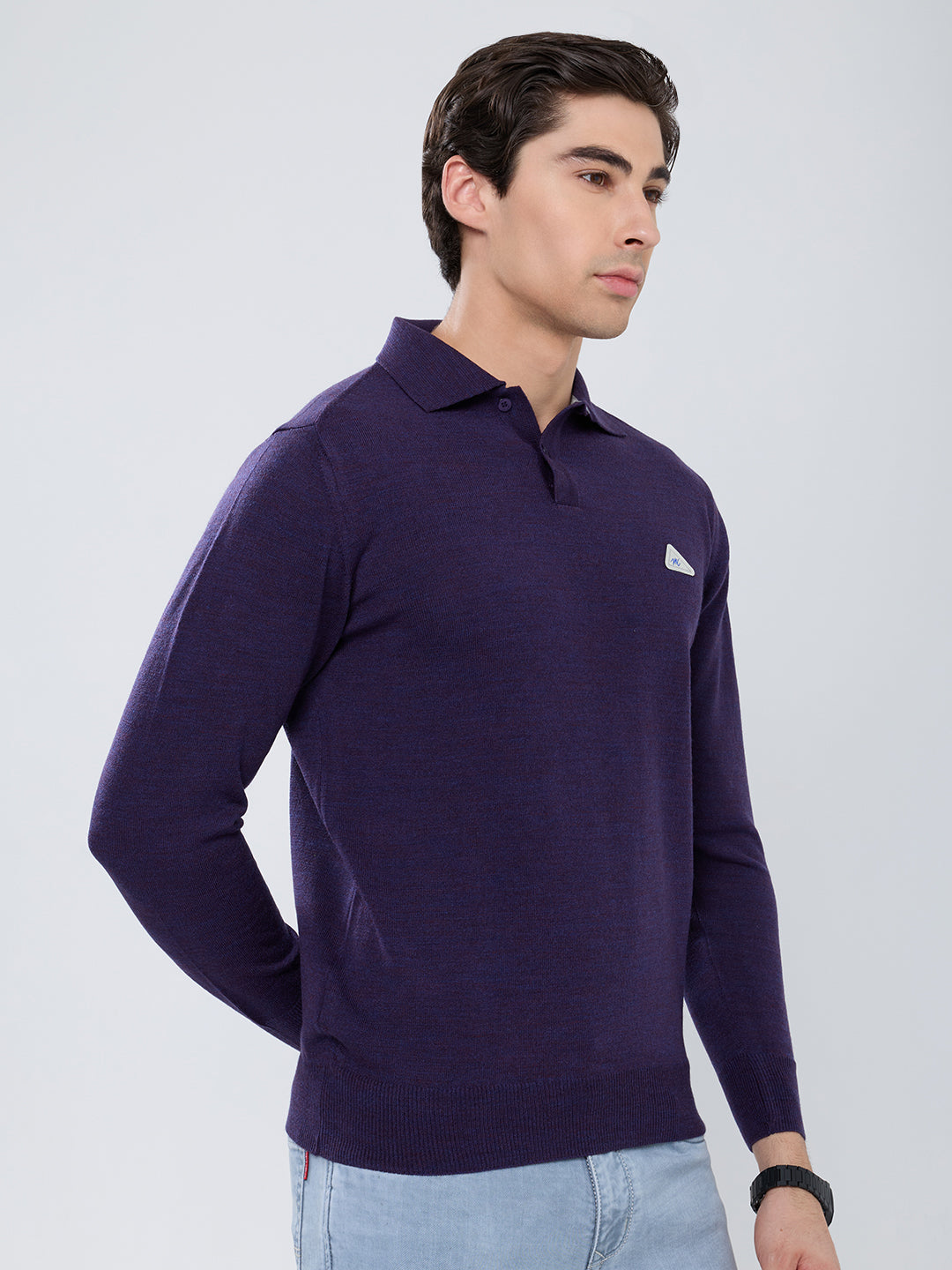 Men Purple Solid Polo Collar Full Sleeve Winter T-Shirt