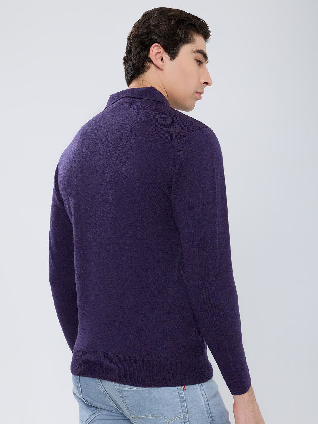 Men Purple Solid Polo Collar Full Sleeve Winter T-Shirt