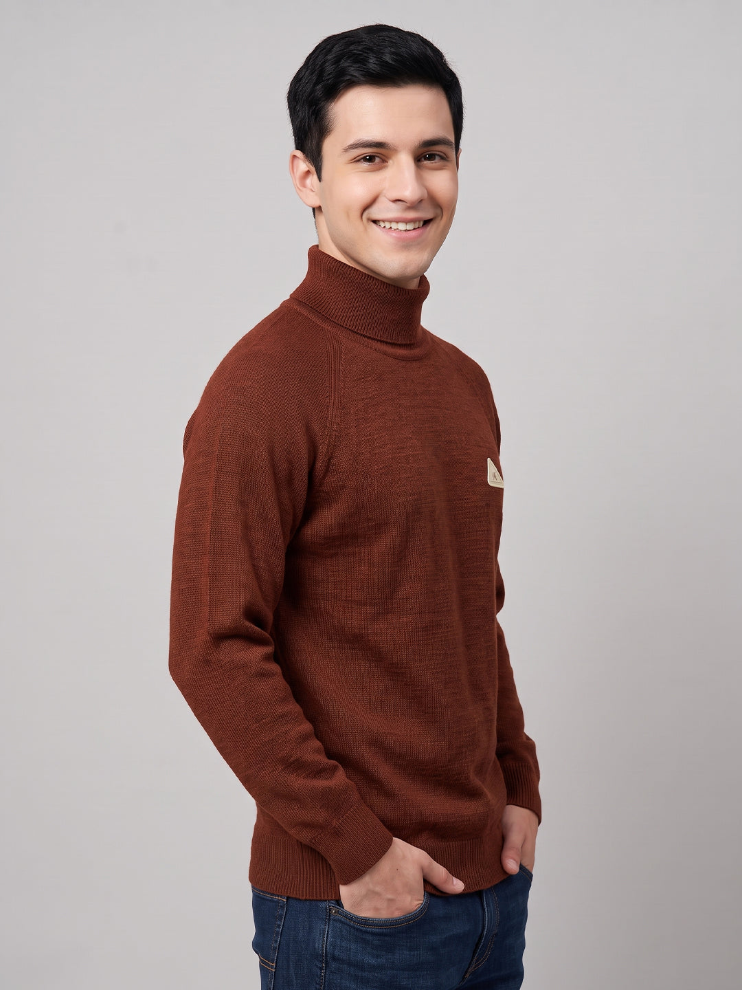 Men Rust Solid Turtle Neck Full Sleeve Pullover