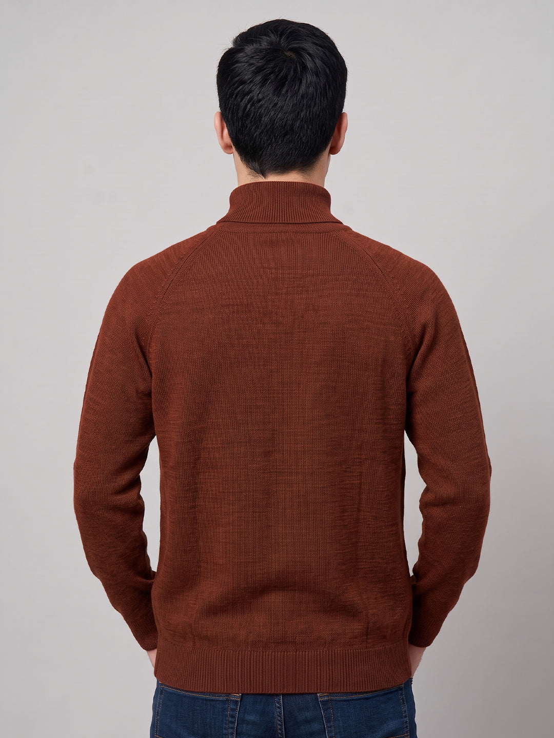 Men Rust Solid Turtle Neck Full Sleeve Pullover