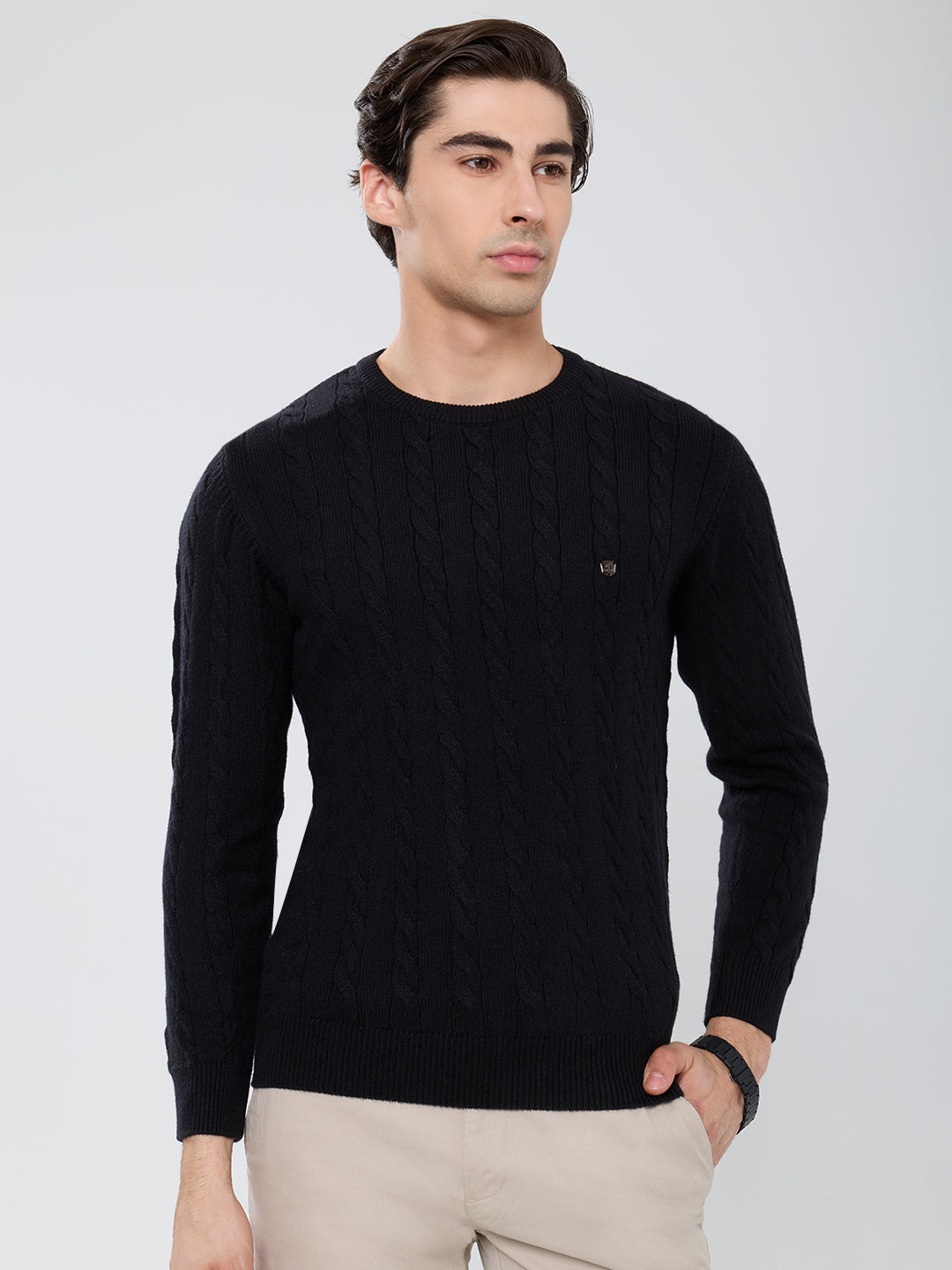 Men Black Self Design Round Neck Full Sleeve Pullover