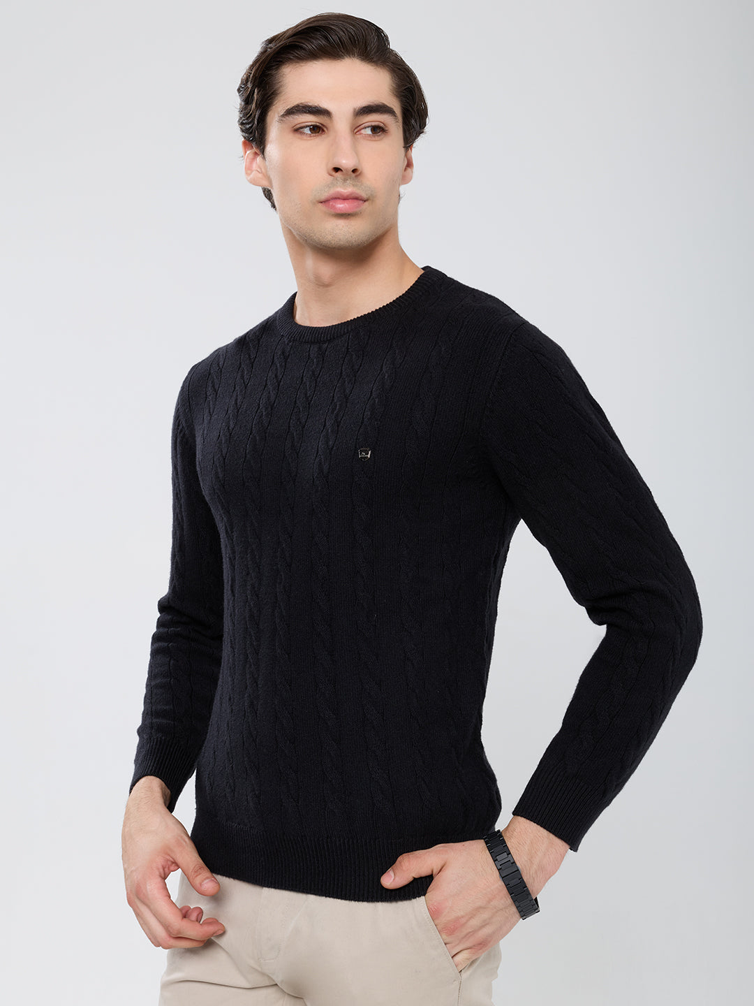 Men Black Self Design Round Neck Full Sleeve Pullover