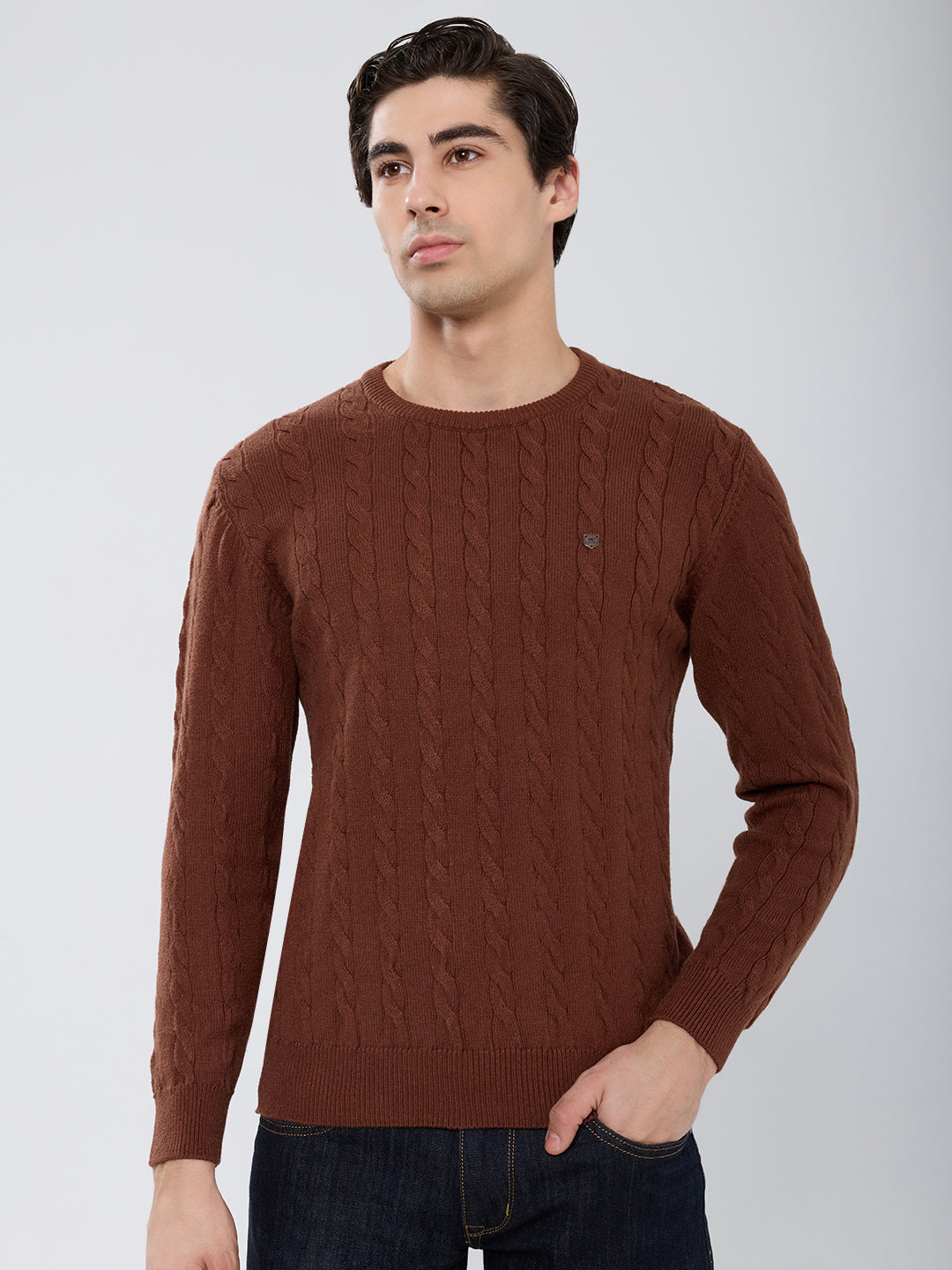 Men Camel Brown Self Design Round Neck Full Sleeve Pullover