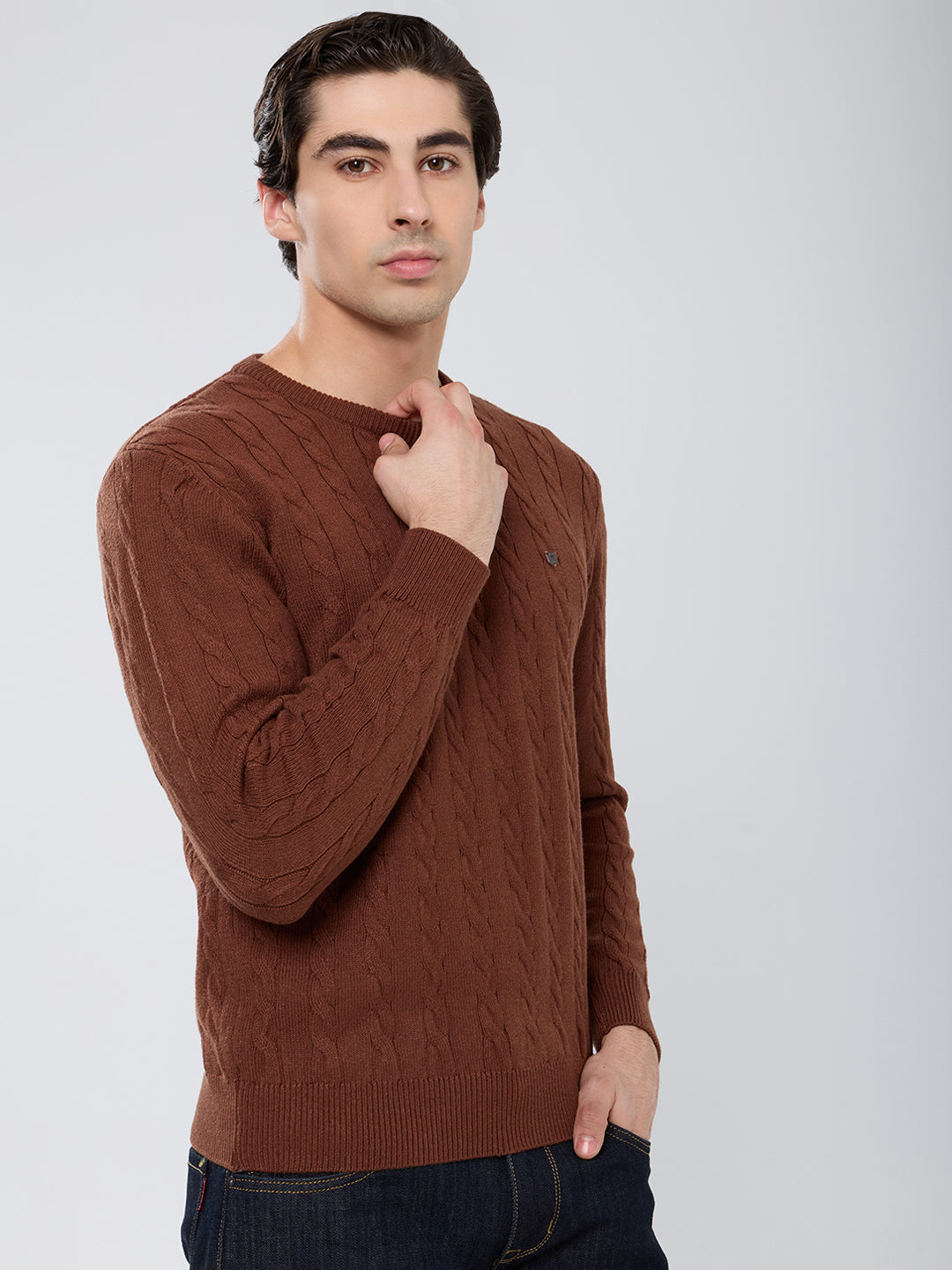 Men Camel Brown Self Design Round Neck Full Sleeve Pullover