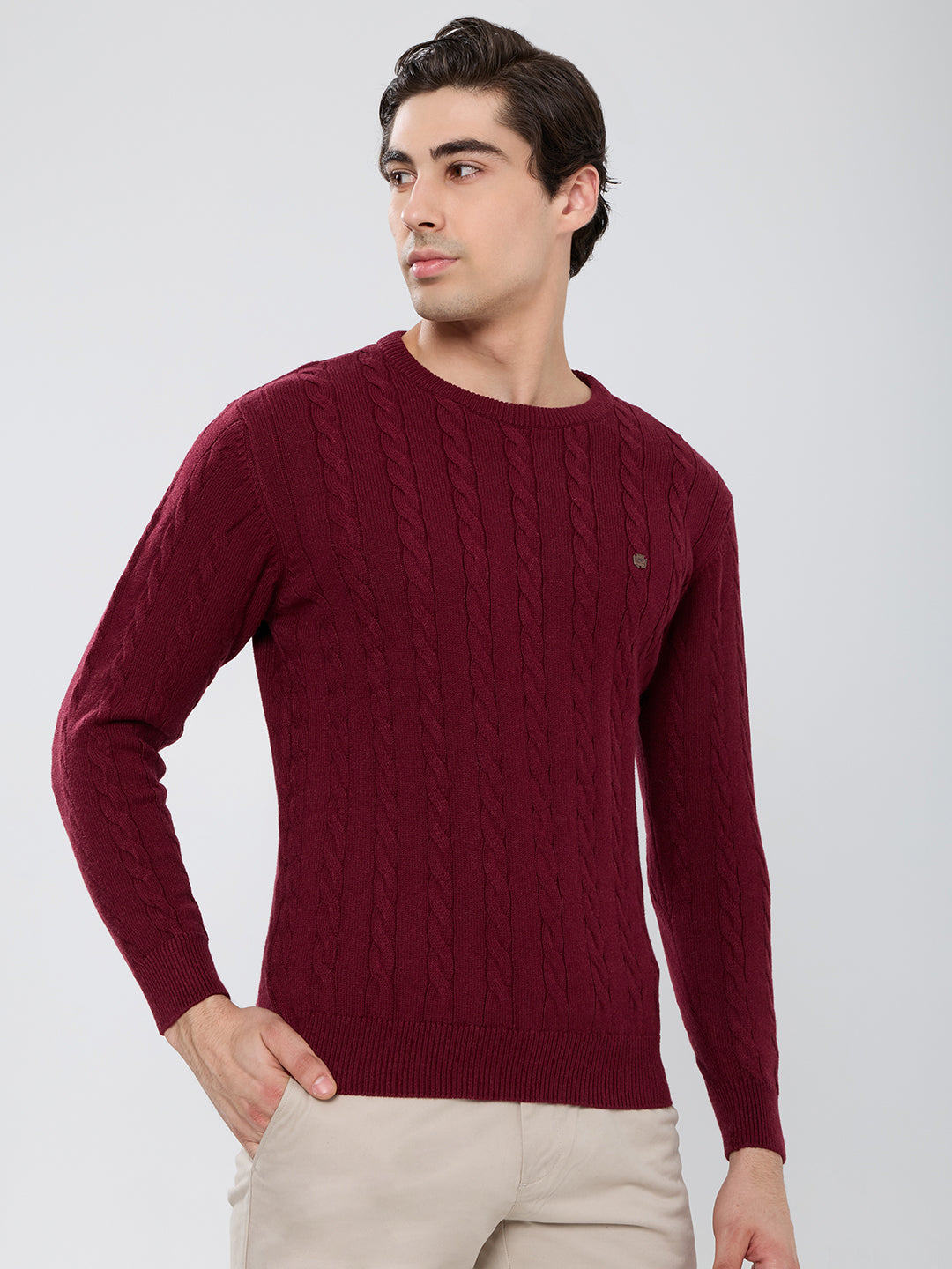 Men Maroon Self Design Round Neck Full Sleeve Pullover