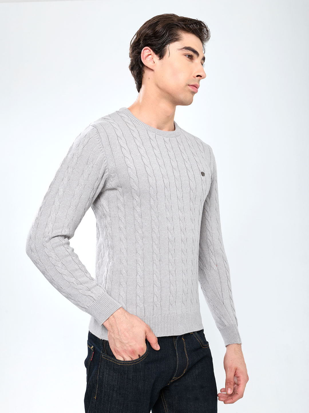 Men Grey Self Design Round Neck Full Sleeve Pullover