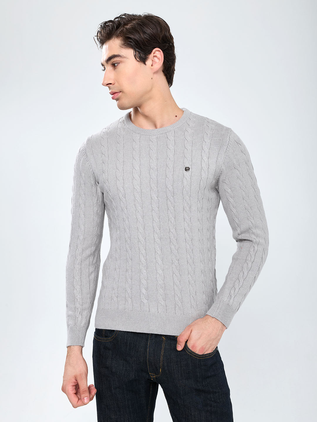 Men Grey Self Design Round Neck Full Sleeve Pullover