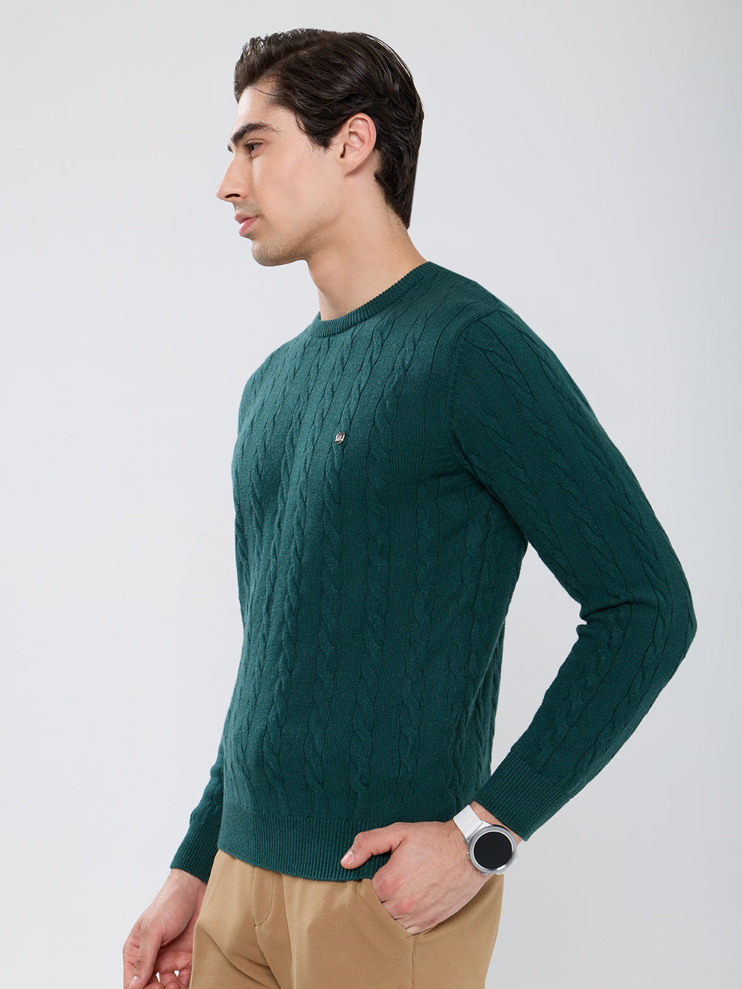 Men Green Self Design Round Neck Full Sleeve Pullover