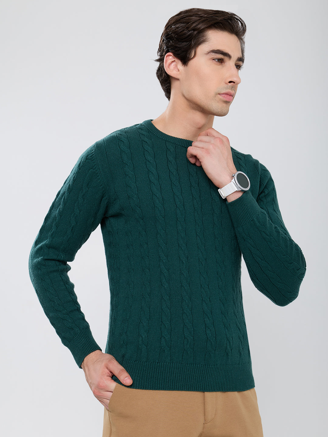 Men Green Self Design Round Neck Full Sleeve Pullover