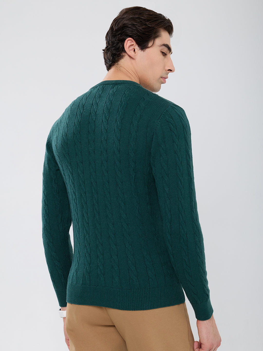 Men Green Self Design Round Neck Full Sleeve Pullover