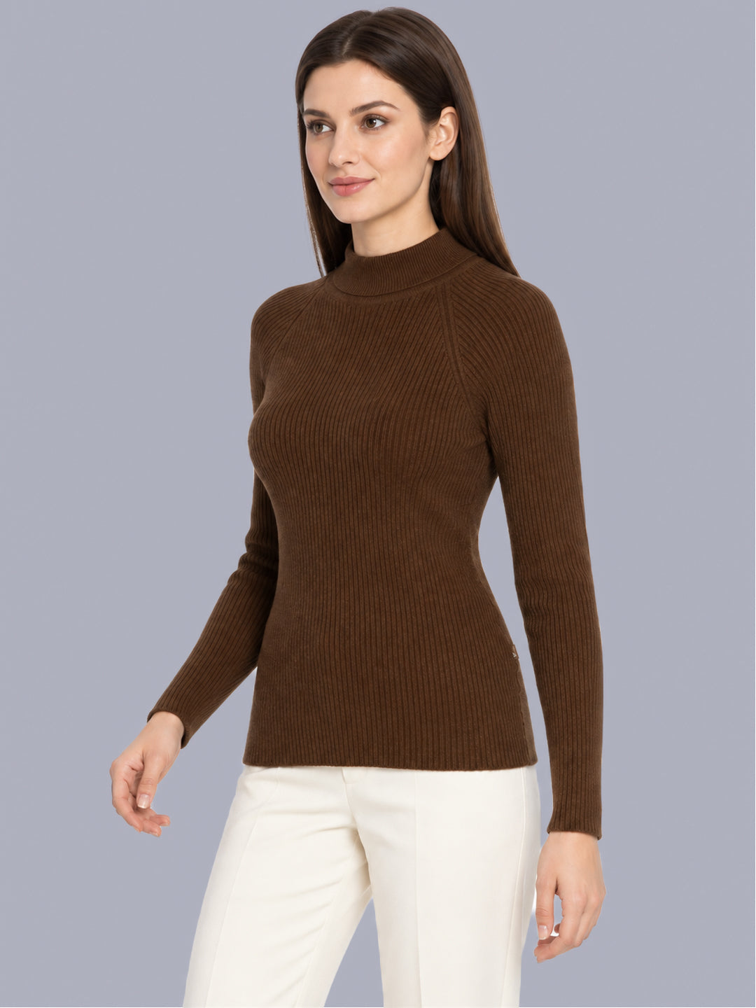 Women Brown Solid High Neck Full Sleeve Sceavy