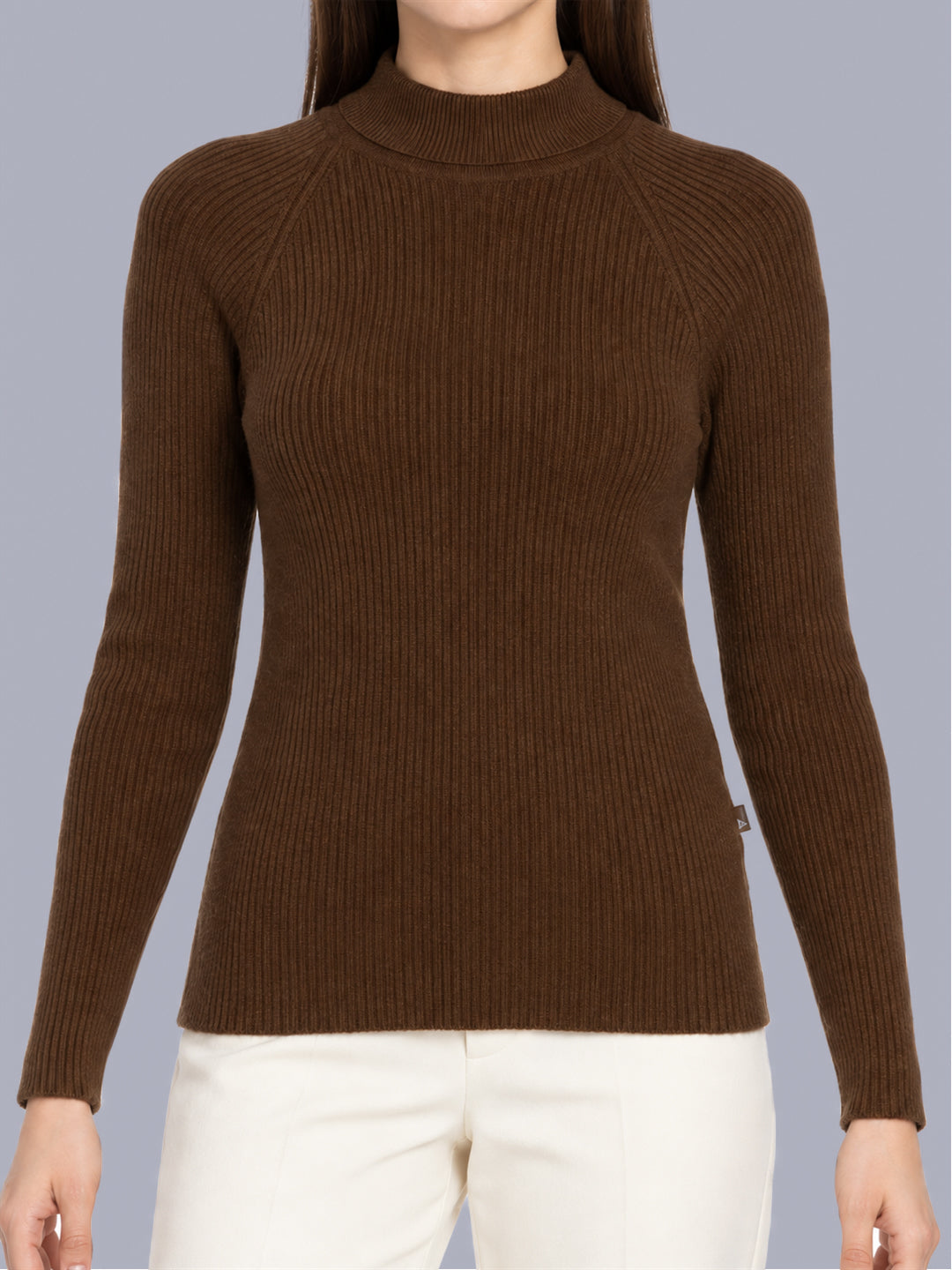 Women Brown Solid High Neck Full Sleeve Sceavy