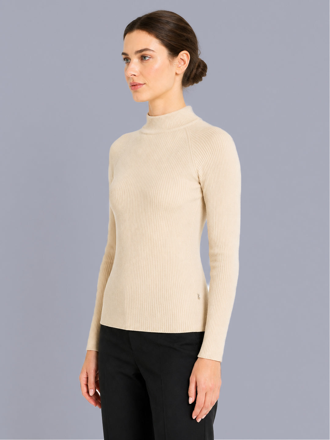 Women Beige Solid High Neck Full Sleeve Sceavy