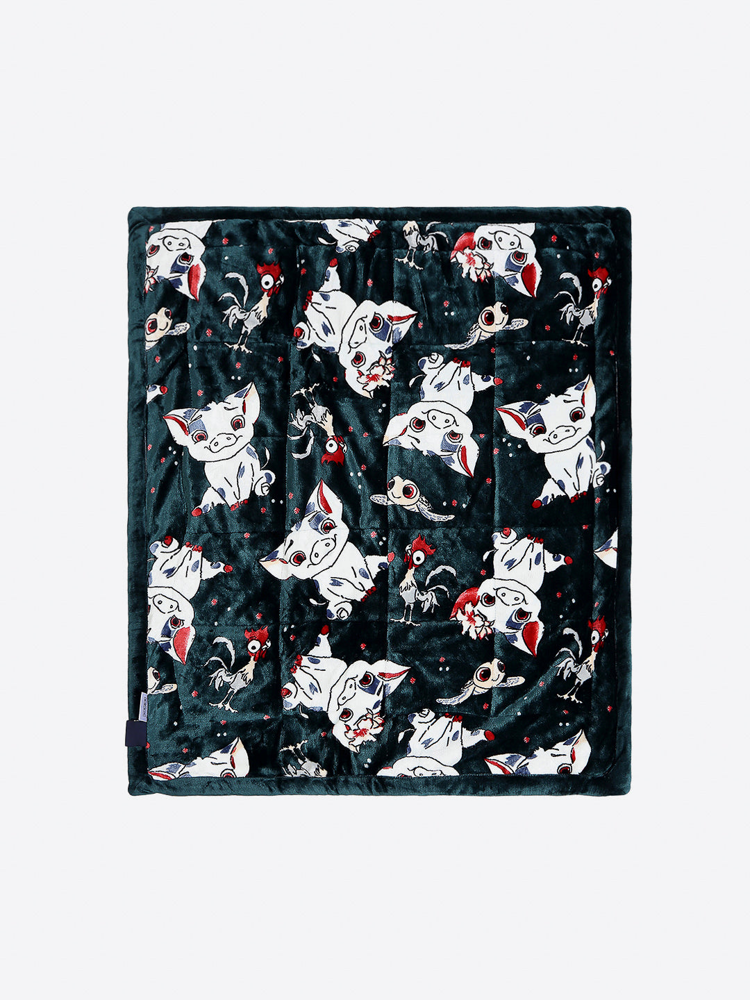 Printed Baby Blanket 3 Ply, 1609 GSM 5Pcs Set (1 Baby Comforter, 1 Bedsheet, 1 Neck Pillow & 2 Bolster)