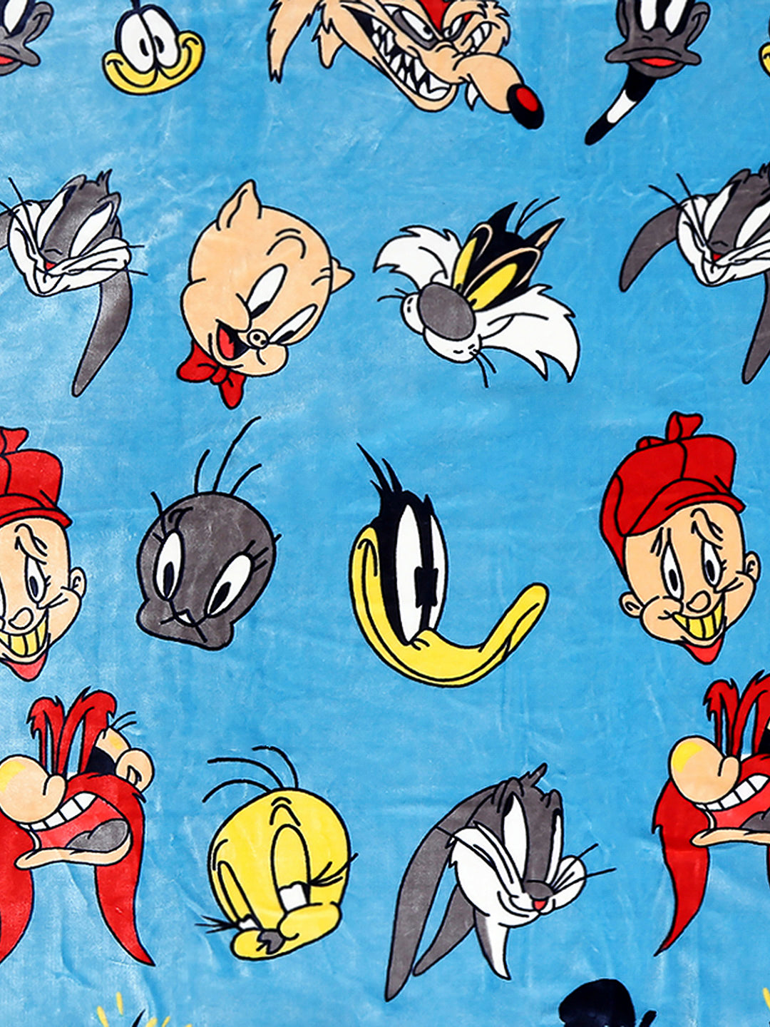 Printed Baby Blanket 2 Ply, 520 GSM, 0.8 kg (Charlie)