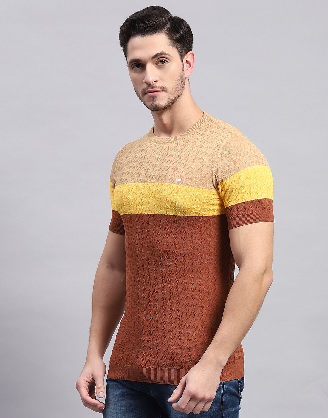 Men Rust Stripe Round Neck Half Sleeve T-Shirt