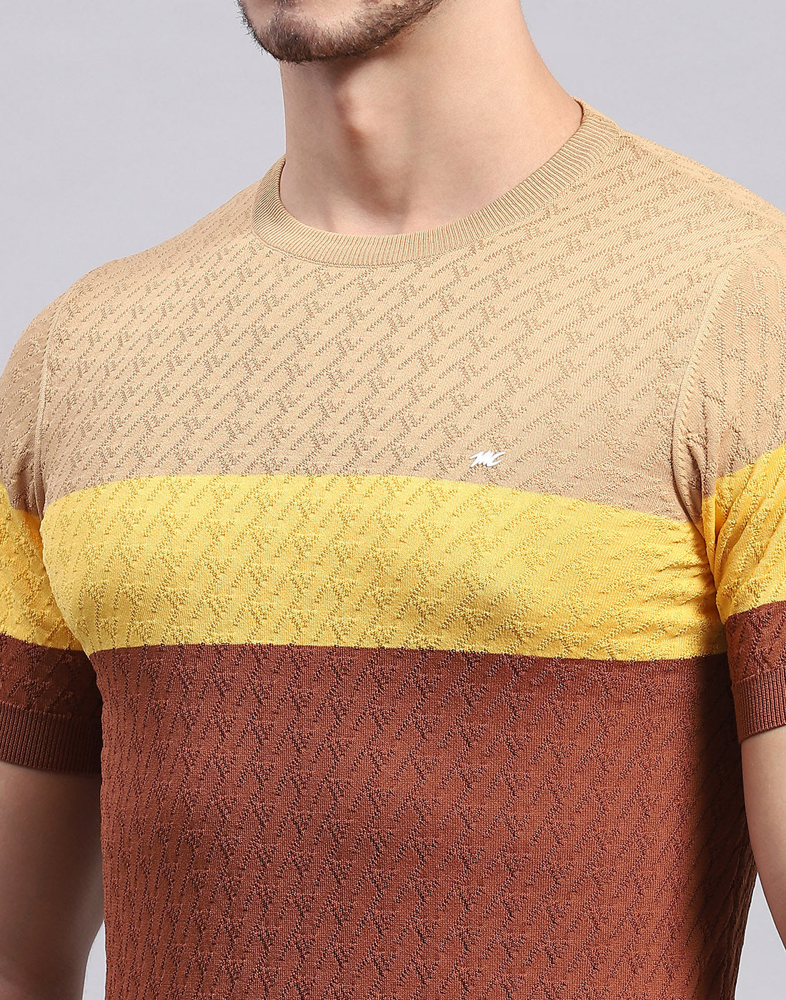 Men Rust Stripe Round Neck Half Sleeve T-Shirt