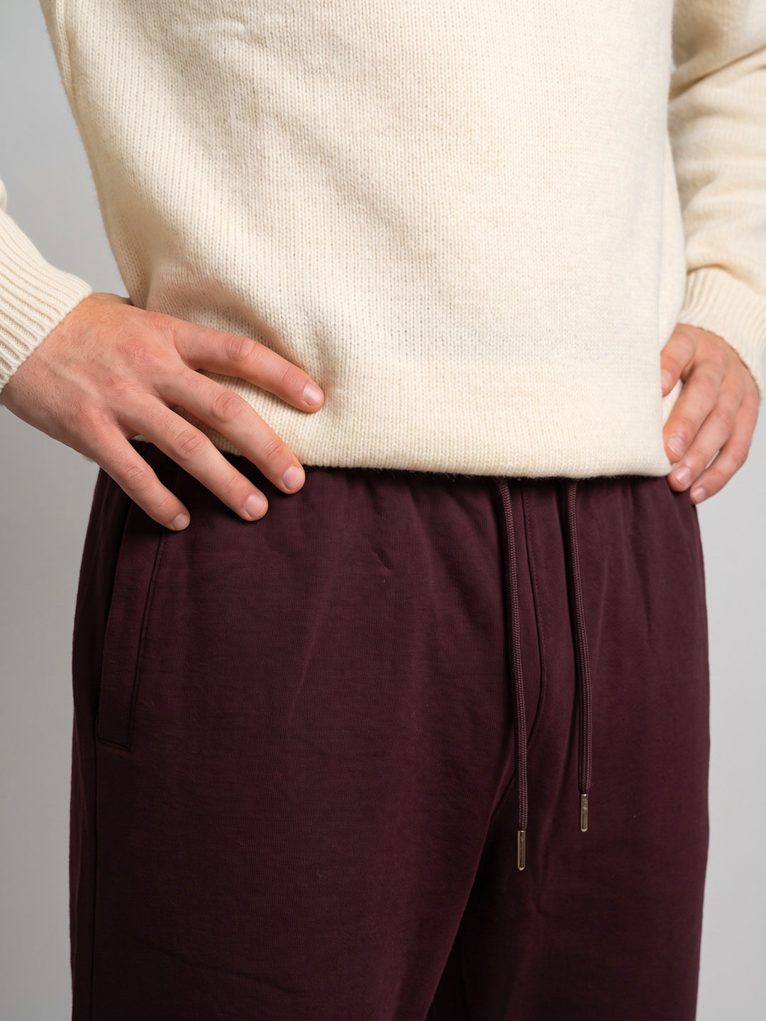 Men Maroon Solid Regular Fit Lower
