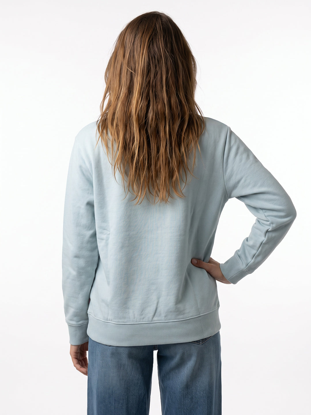 Women Blue Graphic Print Round Neck Full Sleeve Sweatshirt