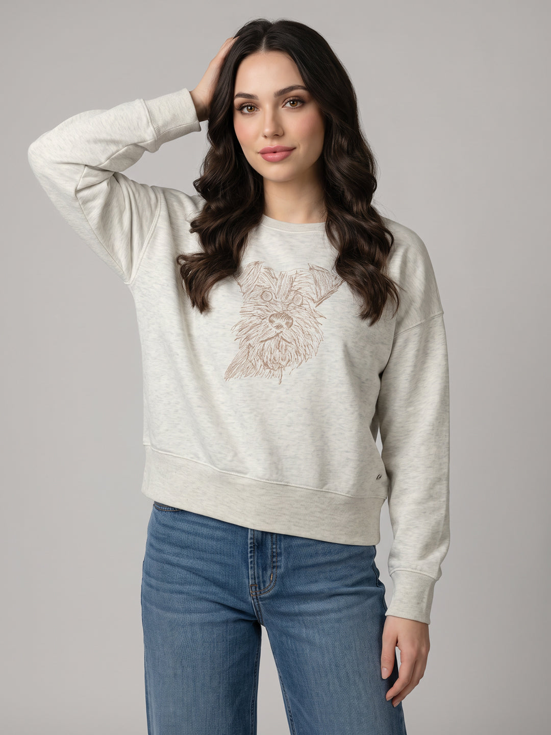 Women Grey Embroidered Round Neck Full Sleeve Sweatshirt
