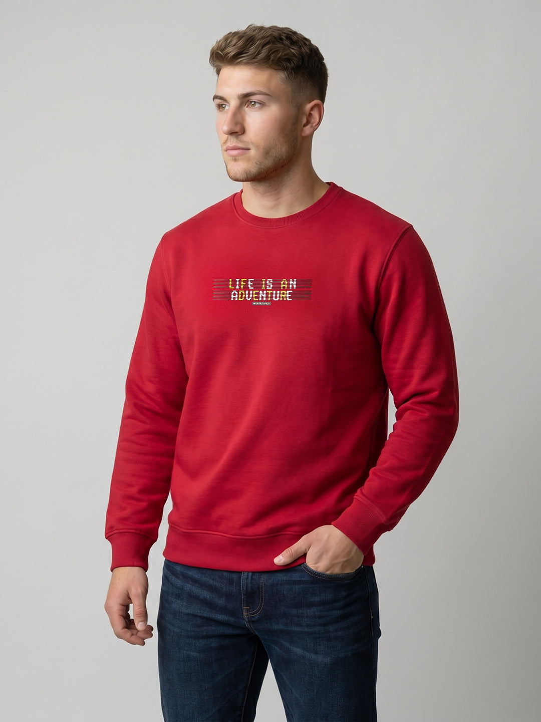 Men Blue Printed Round Neck Full Sleeve Sweatshirt