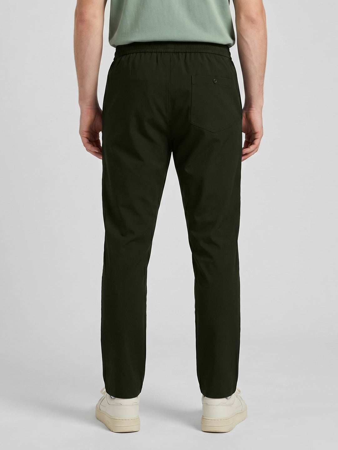 Men Olive Solid Regular Fit Lower