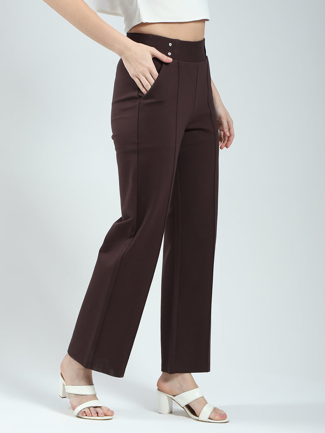 Women Brown Plain Regular Fit Jegging