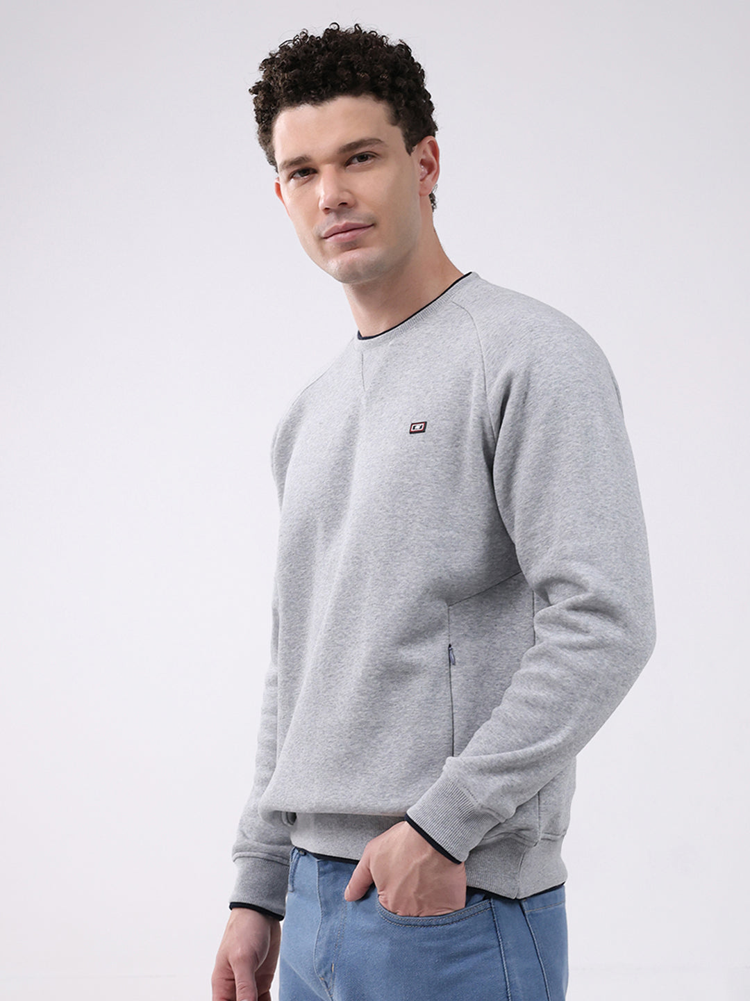 Men Grey Printed Round Neck Full Sleeve Sweatshirt