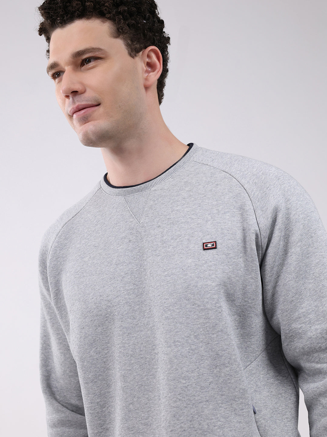 Men Grey Printed Round Neck Full Sleeve Sweatshirt