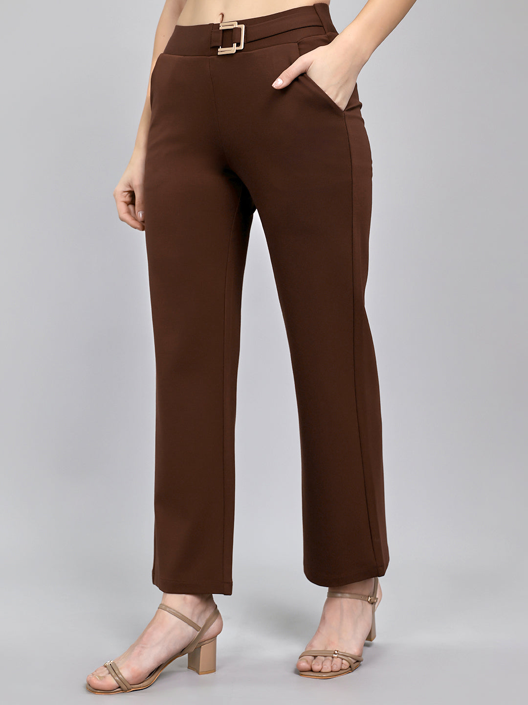 Women Brown Solid Regular Fit Jegging