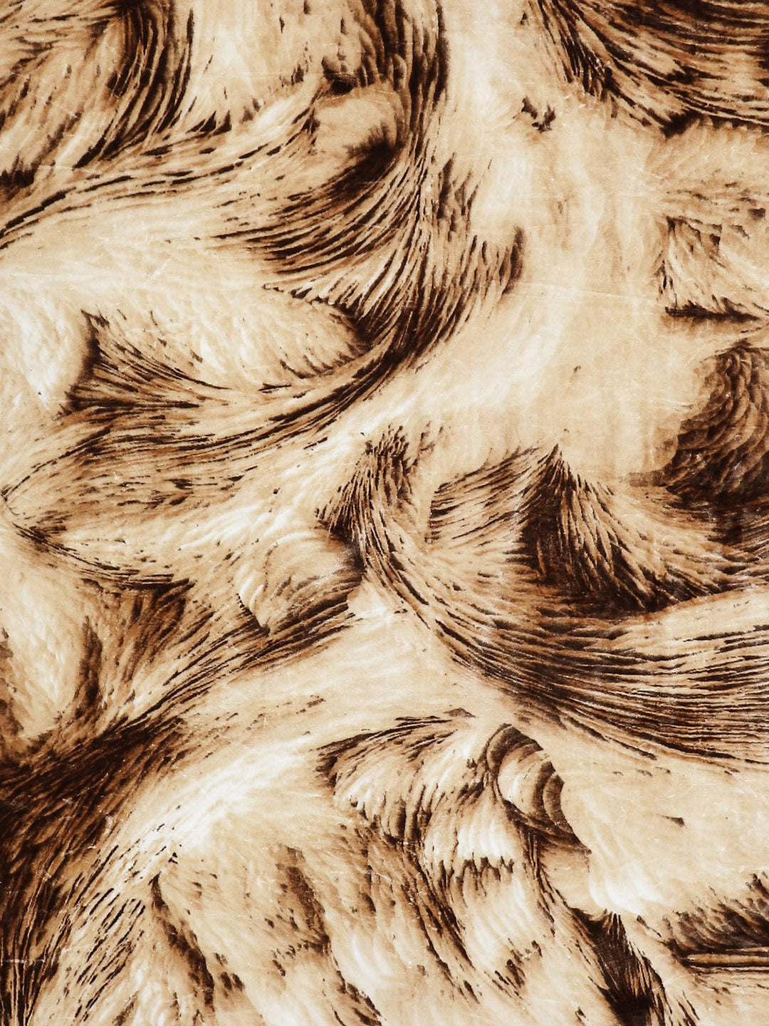 Printed Double Bed 1041 GSM Blanket Apricot 2 Ply (Weight 5.5 kg)