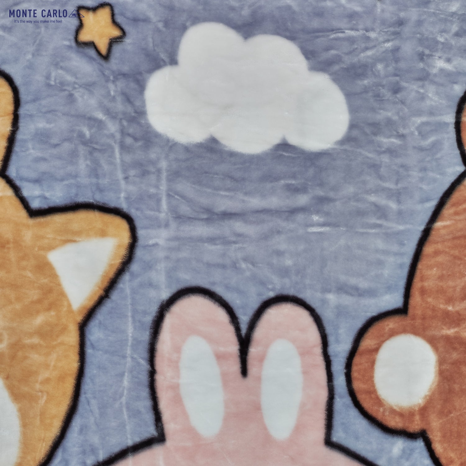 Printed Single Bed Blanket for Mild Winter -2 Ply