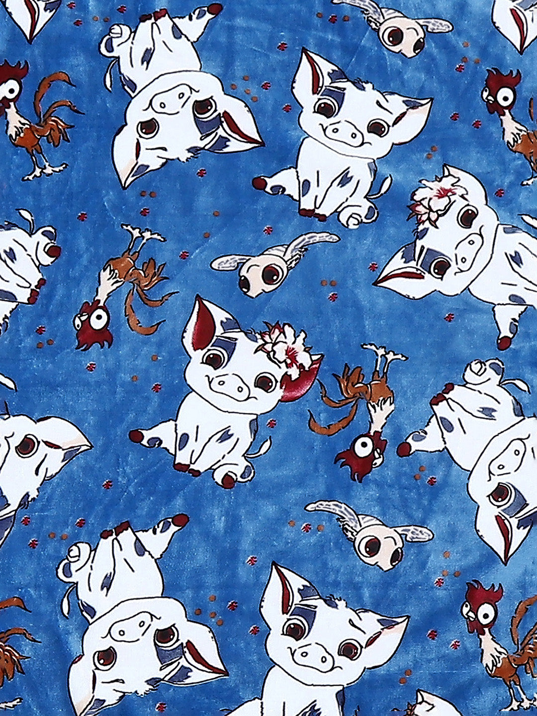 Printed Baby Blanket for Mild Winter -2 Ply