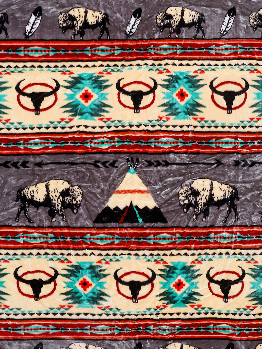 Printed Double Bed 757 GSM Blanket Pride 2 Ply (Weight 4 kg)