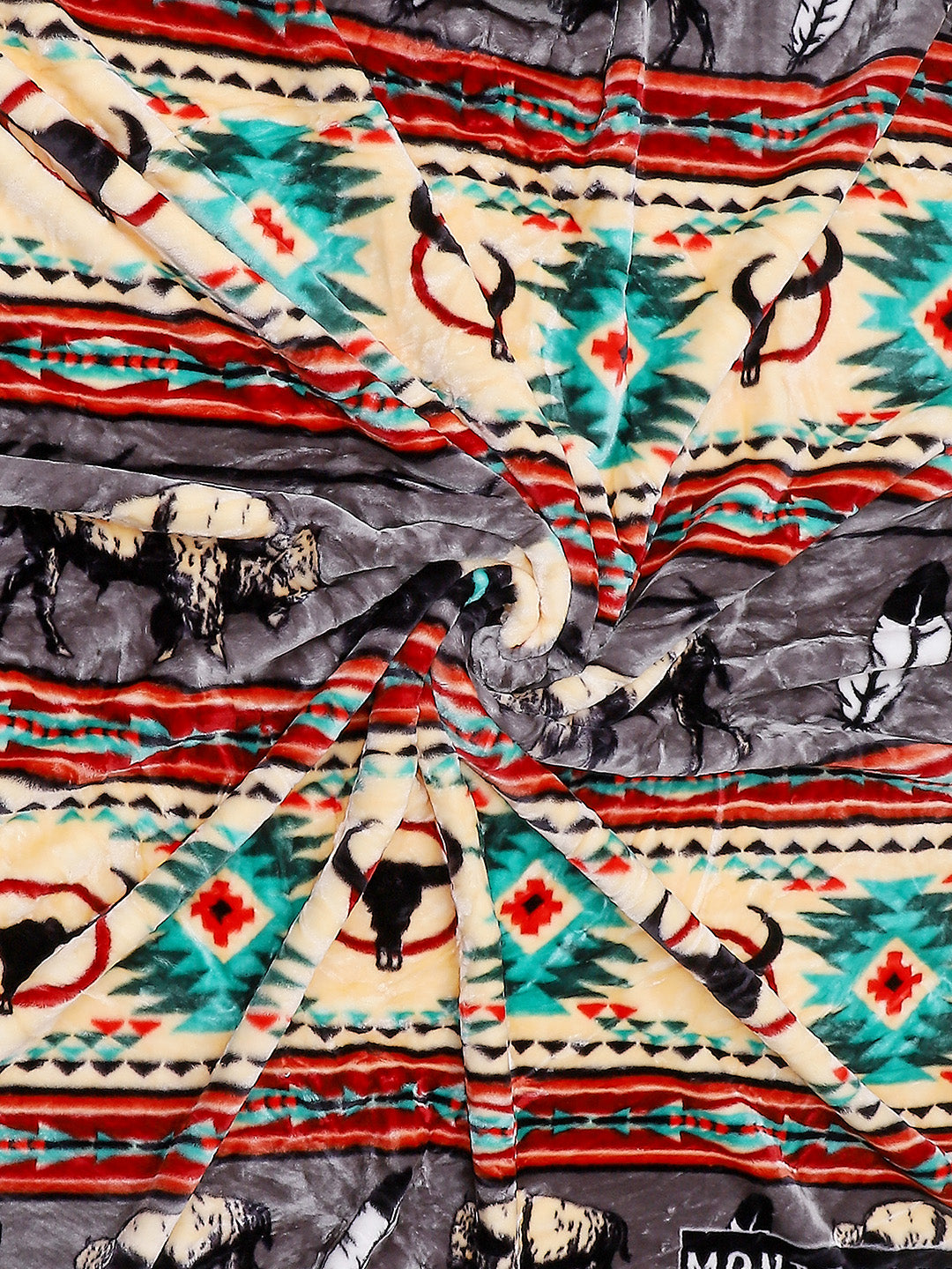 Printed Double Bed 757 GSM Blanket Pride 2 Ply (Weight 4 kg)