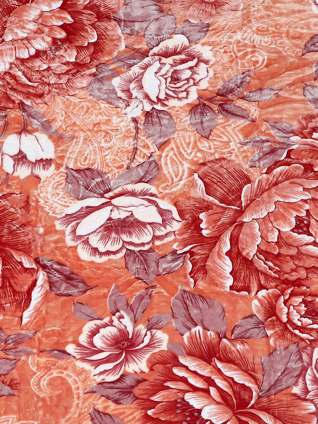 Printed Double Bed Reversible Blanket 2 Ply, 757 GSM, 4 kg (Super Star)