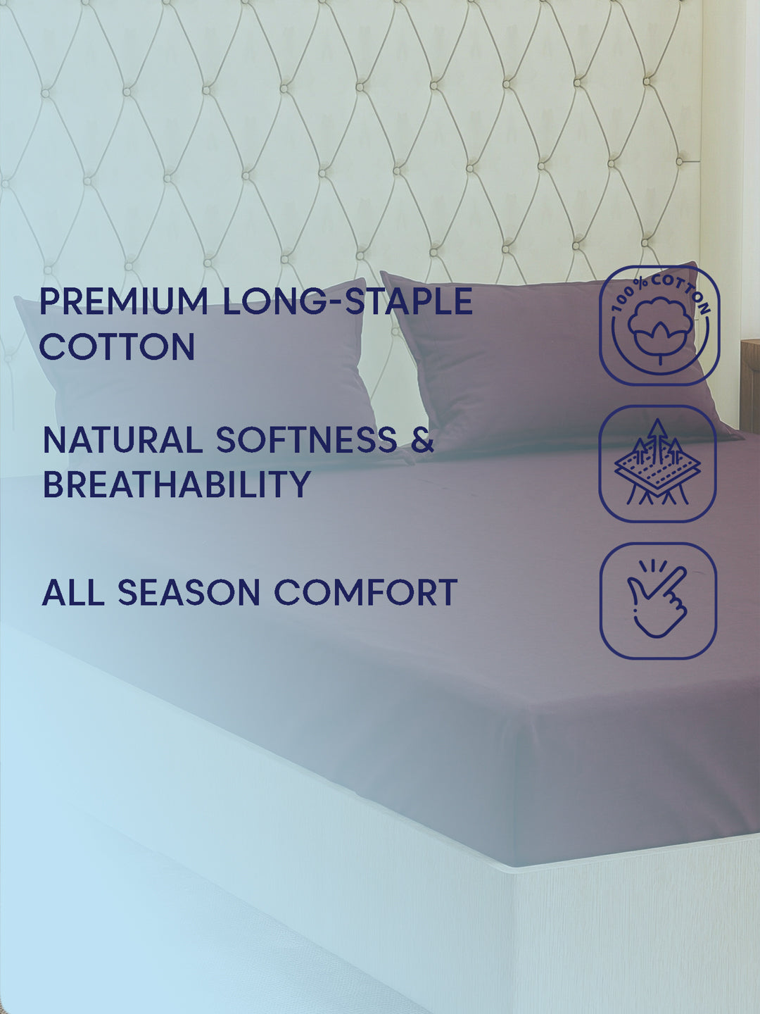 Premium 210 TC Pure Cotton King Size Bedsheet with 2 Pillow Covers Classique Casa Solids Collection