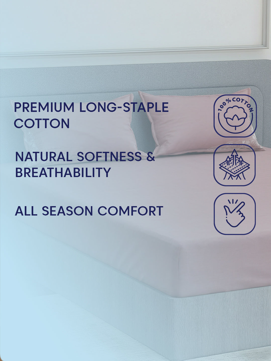 Luxury 400 TC Pure Cotton King Size Bedsheet with 2 Pillow Covers Lace Magic Collection