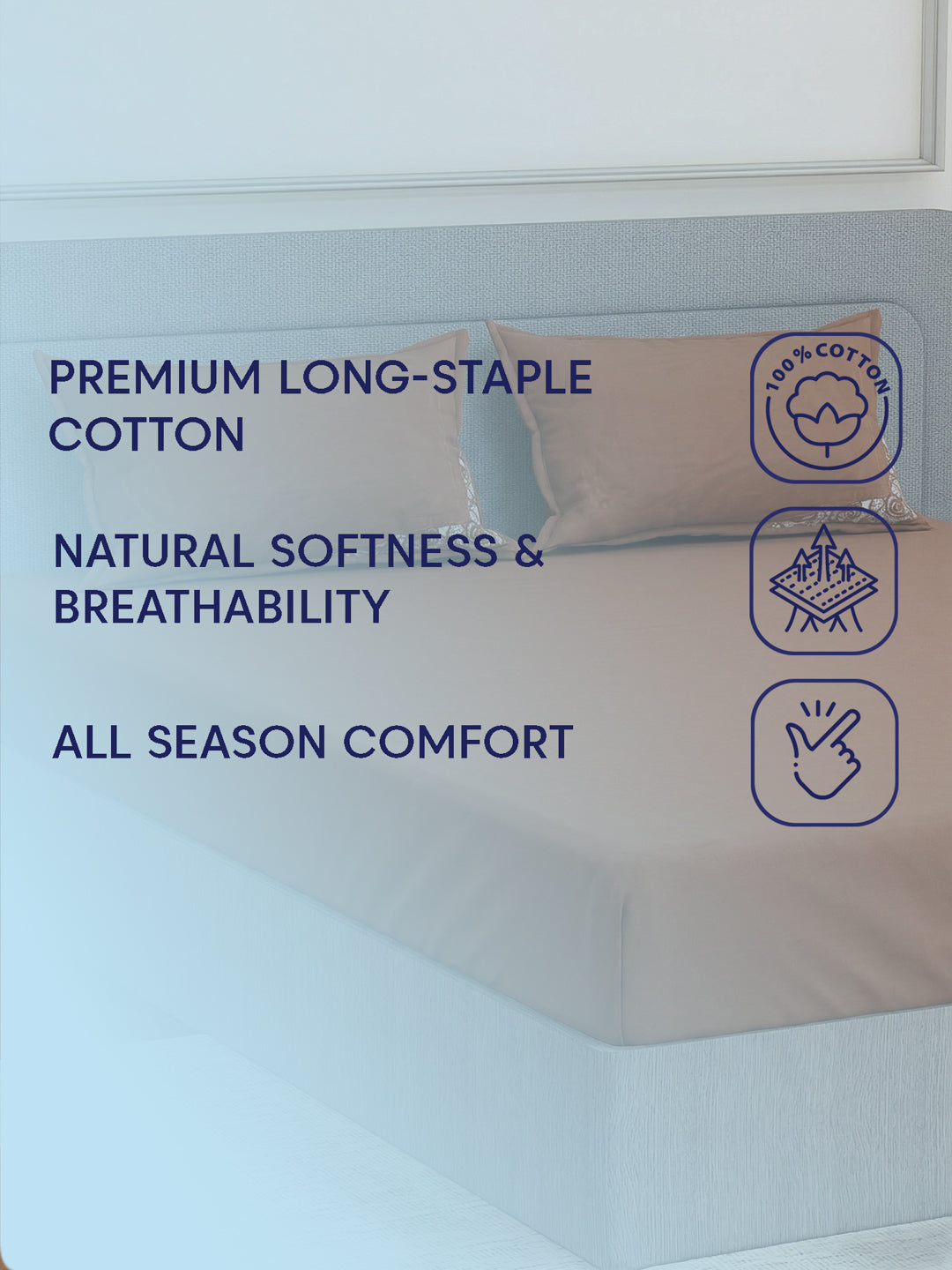 Luxury 400 TC Pure Cotton King Size Bedsheet with 2 Pillow Covers Lace Magic Collection