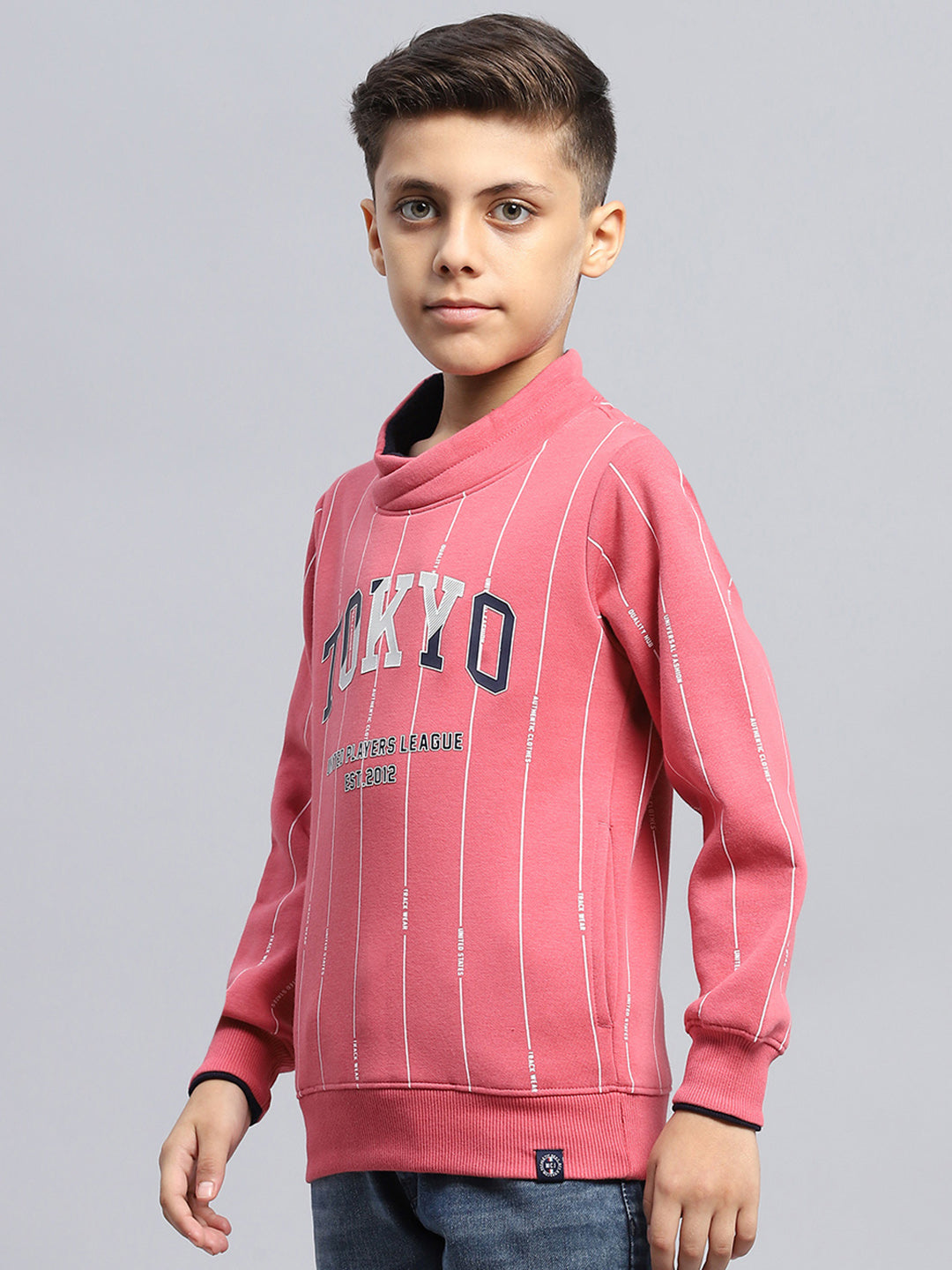 Boys Pink Printed High Neck Full Sleeve Sweatshirt