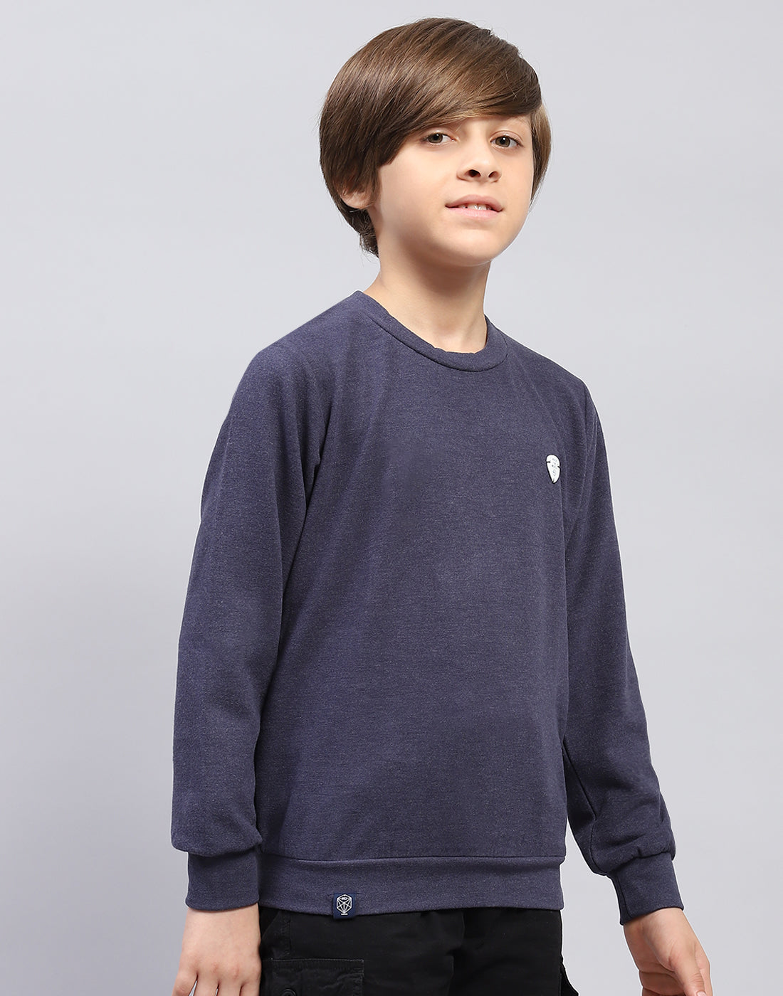 Boys Navy Blue Solid Round Neck Full Sleeve Sweatshirt