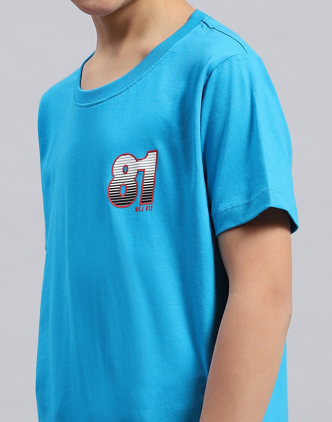 Boys Multi Color Printed Round Neck Half Sleeve T-Shirt
