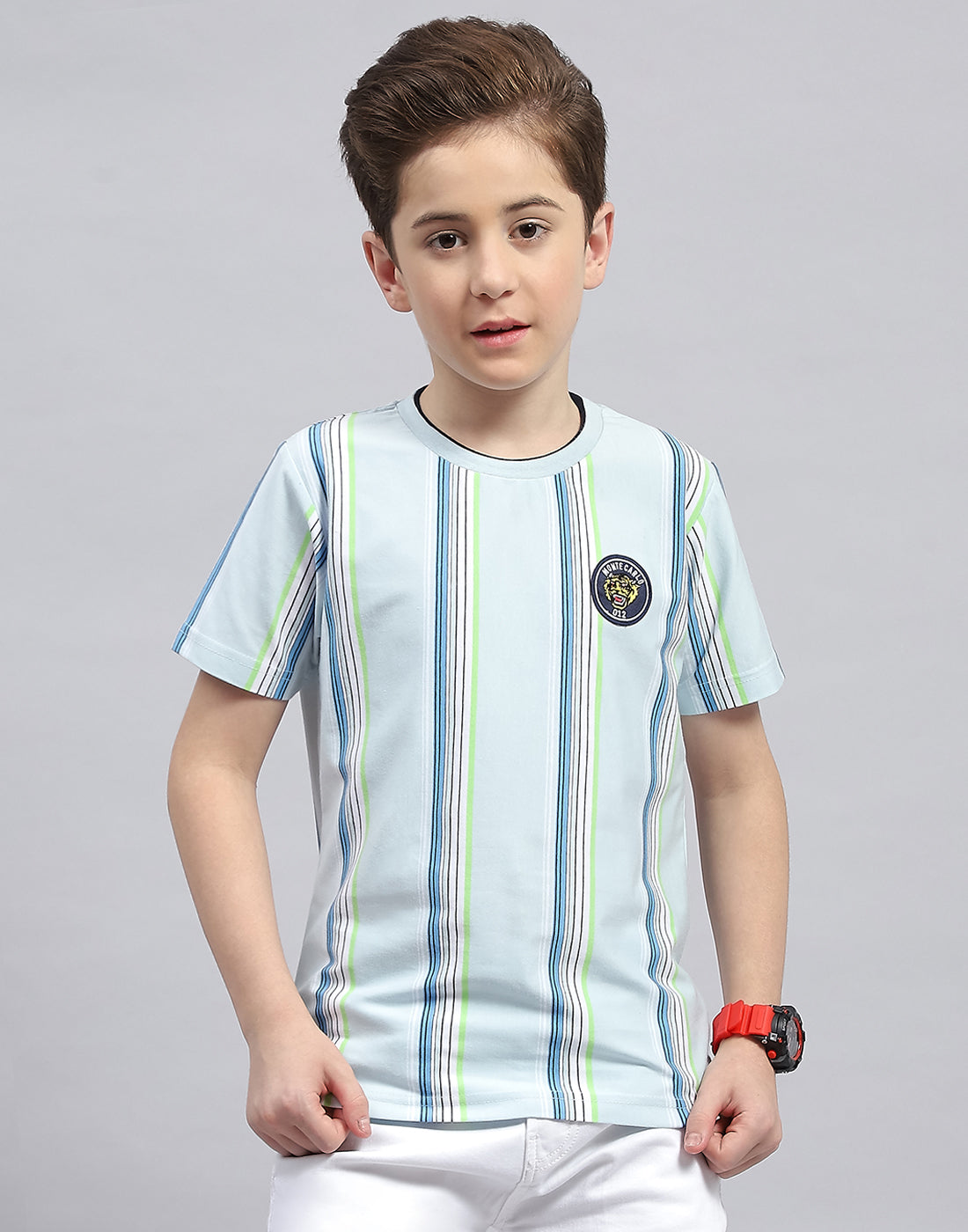 Boys Sky Blue Stripe Round Neck Half Sleeve T-Shirt