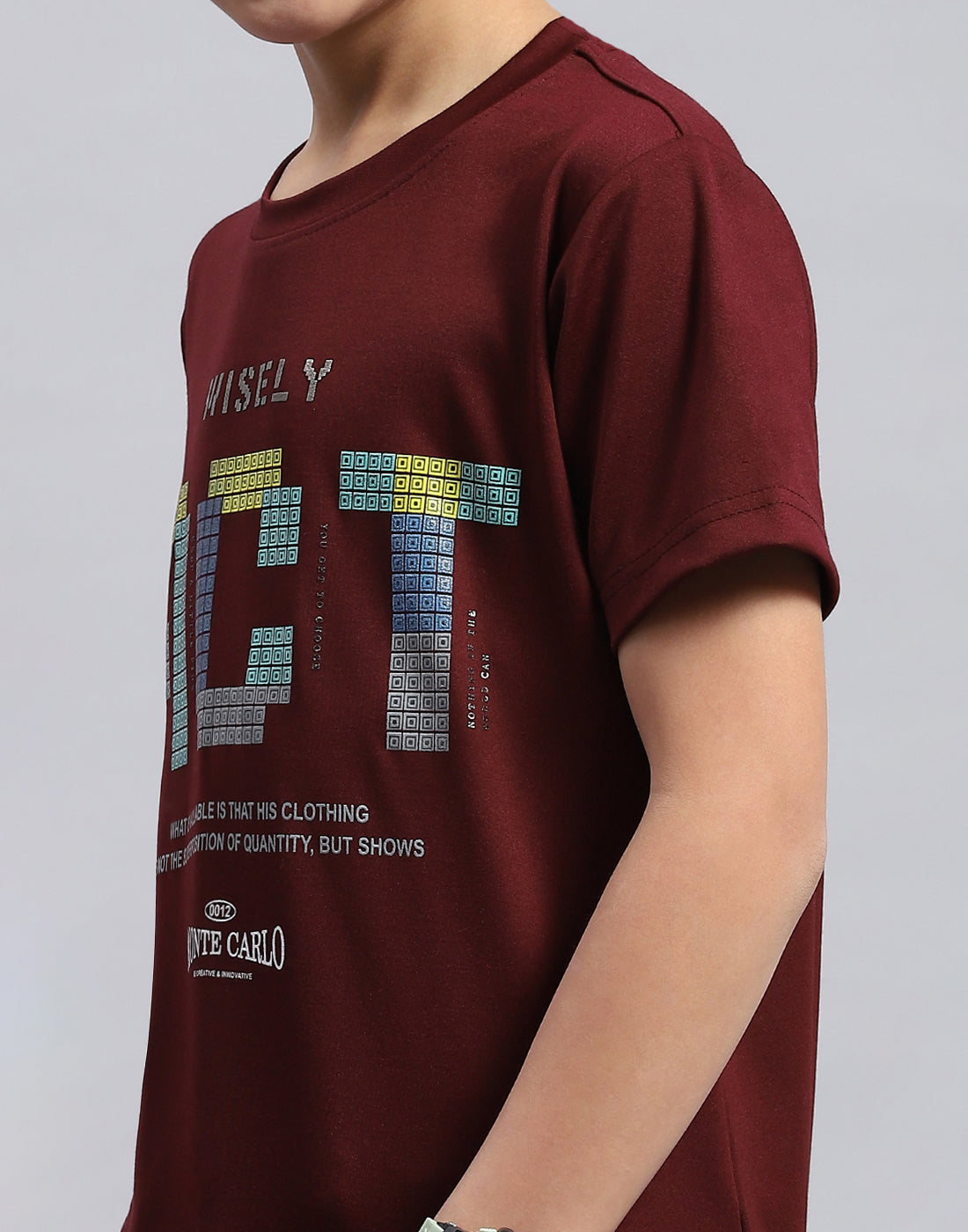 Boys Maroon Printed Round Neck Half Sleeve T-Shirt