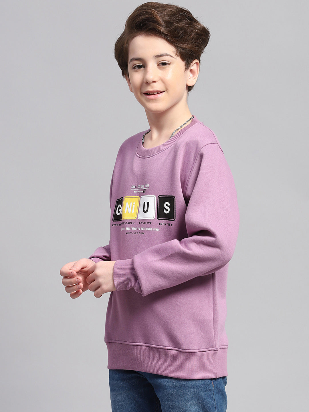 Boys Mauve Printed Round Neck Full Sleeve Sweatshirt