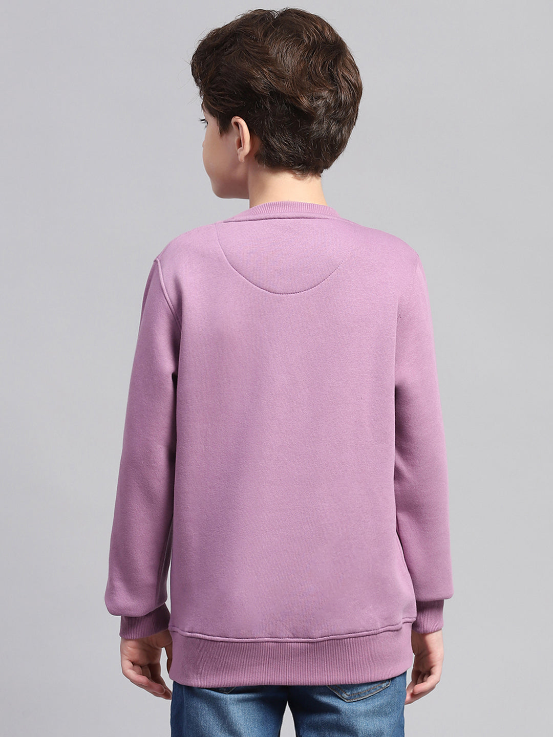 Boys Mauve Printed Round Neck Full Sleeve Sweatshirt