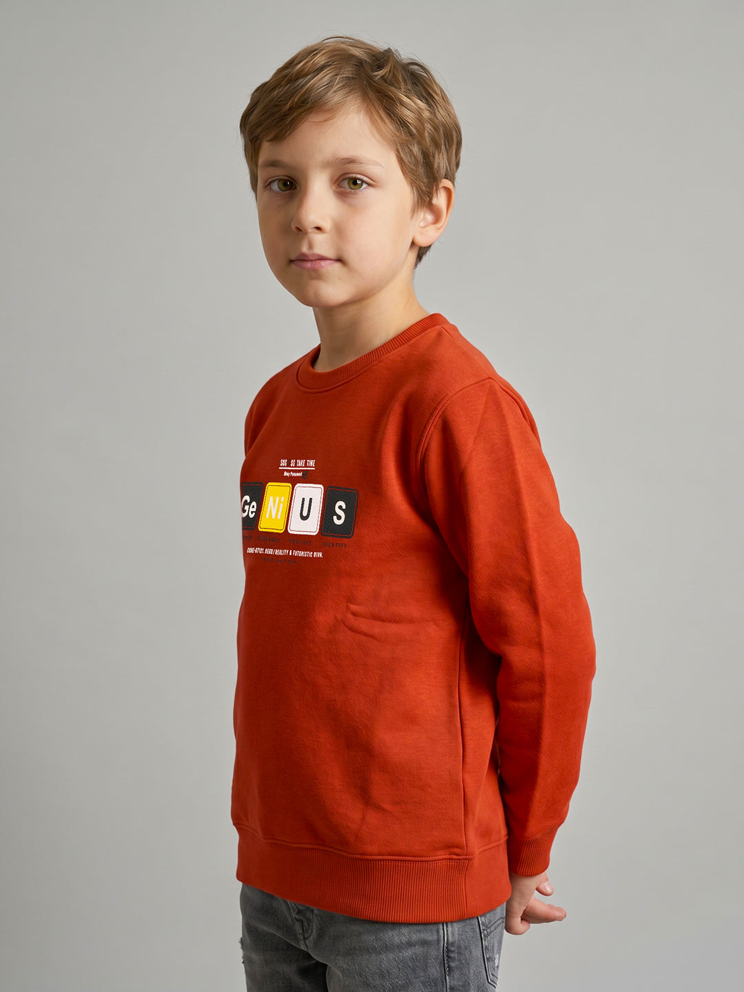 Boys Rust Printed Round Neck Full Sleeve Sweatshirt