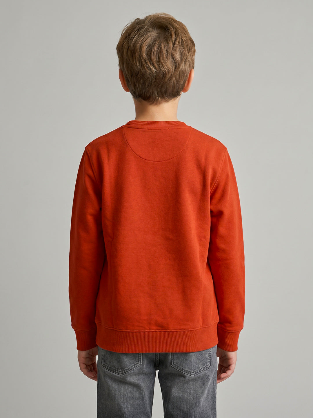 Boys Rust Printed Round Neck Full Sleeve Sweatshirt