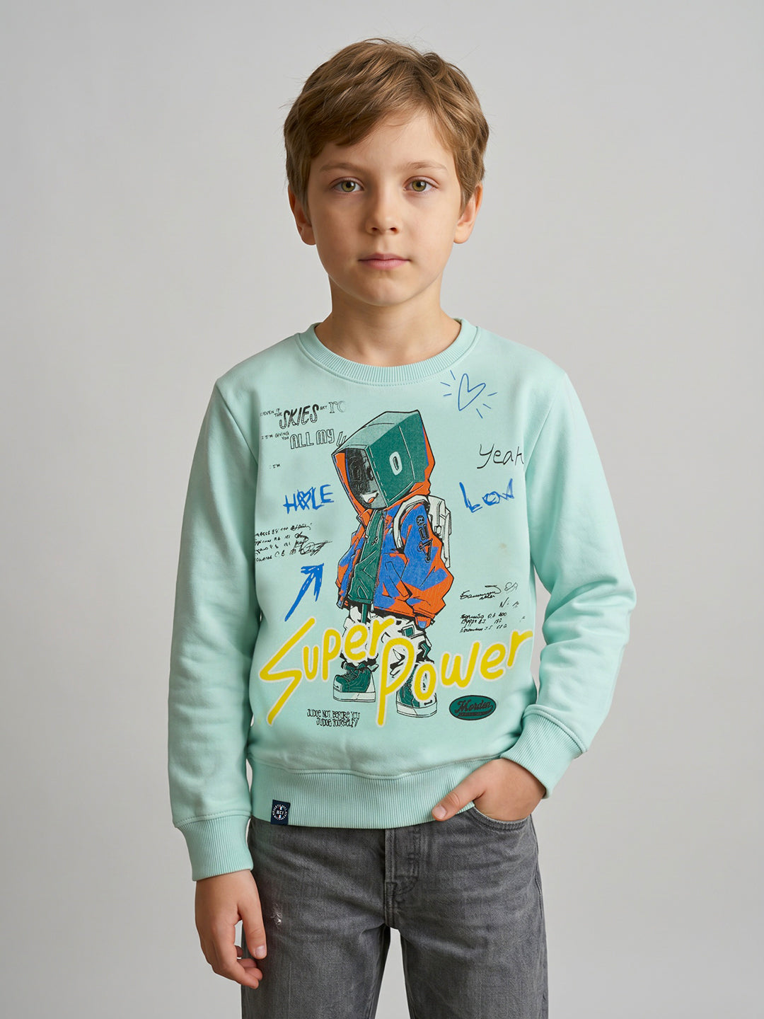 Boys Blue Printed Round Neck Full Sleeve Sweatshirt
