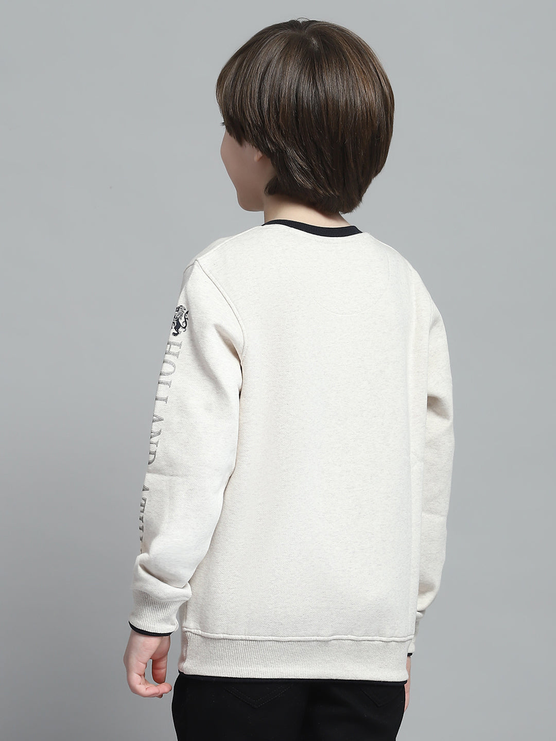 Boys Beige Printed Round Neck Full Sleeve Sweatshirt